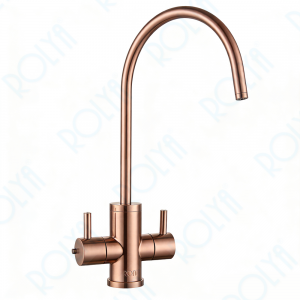 ROLYA 304 Stainless Steel 2 Way Instant Hot and Cold Water Kitchen Faucet Only Rose Golden DW2008-RG